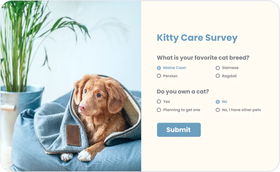 Quiz Survey Form 70659